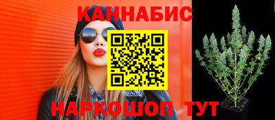 амф Краснознаменск