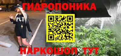 СК Краснодар