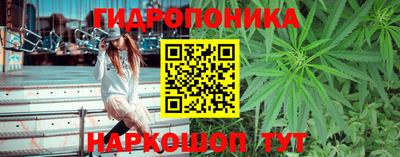 амф Краснознаменск