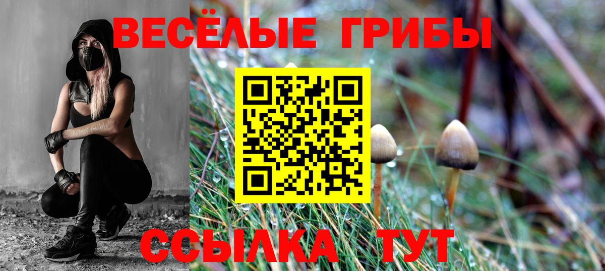 Галлюциногенные грибы Cubensis Калининград