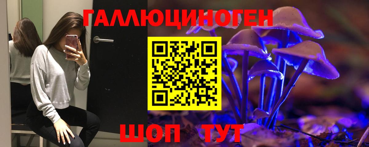 Калининград  Псилоцибиновые грибы Magic Shrooms  Галлюциногенные грибы Cubensis  Вход с VPN 