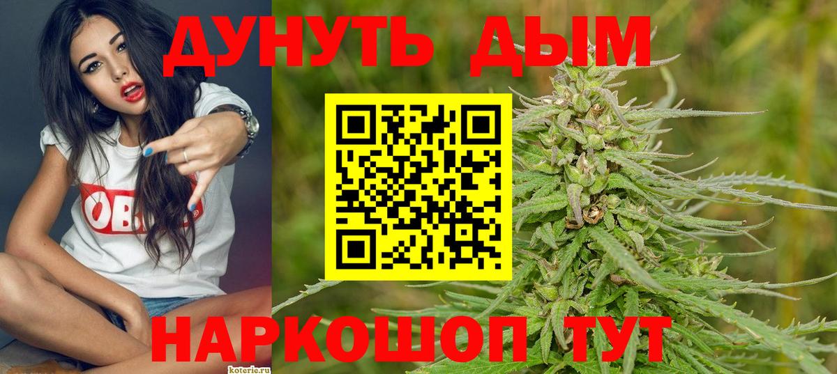 Каннабис планчик Калининград